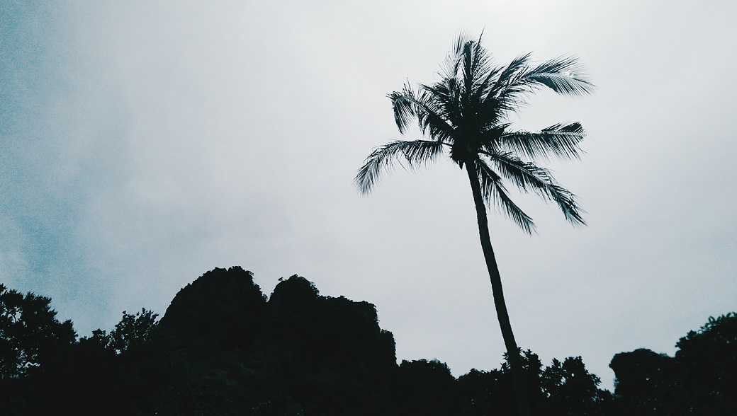Pai Plong Beach Cliffs Palms
