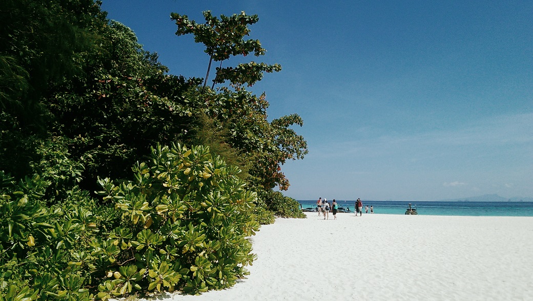 Bamboo Island Beach, Phi Phi Islands, Thailand