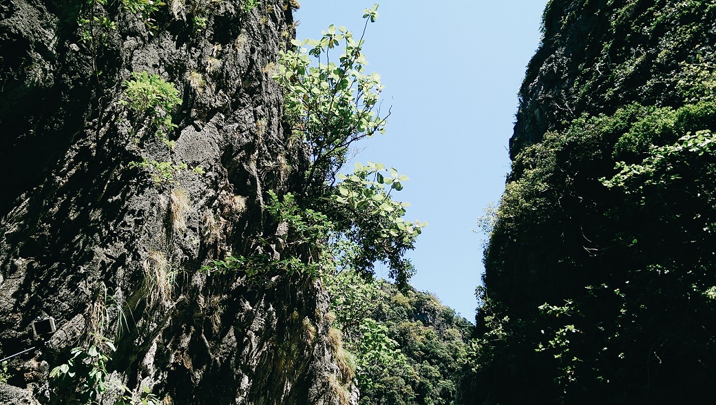 Limestone Cliffs, Phi Phi Islands, Ao Nang, Krabi, Thailand
